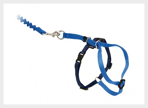 asian-outsourcing_pet-collars-leashes-harnesses
